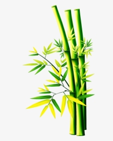 Clip Art Bamboo Graphic - Transparent Bamboo Png, Png Download, Free Download