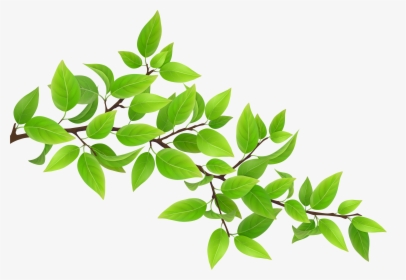 Green Branch Transparent Png Clip Art Image - Green Leaves Clip Art, Png Download, Free Download