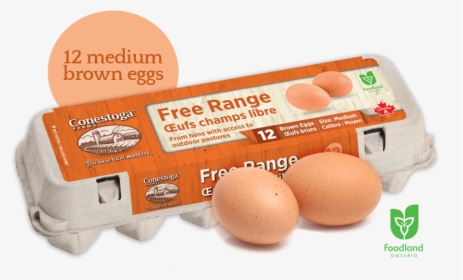Freerange Lrg Min - Free Range Eggs, HD Png Download, Free Download
