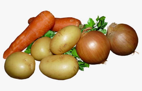 Hortalizas, Patatas, Zanahorias, Cebolla, Perejil - Овощи Картошка Морковь Лук, HD Png Download, Free Download