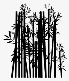Nature, Decorative, Tree, Bamboo, Silhouette, Black - Silhouette, HD Png Download, Free Download