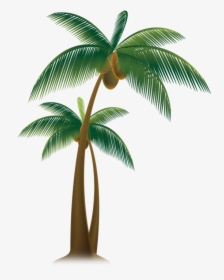 Vector Royalty Free Download Arecaceae Tree Trees Transprent - Animated Transparent Coconut Tree, HD Png Download, Free Download