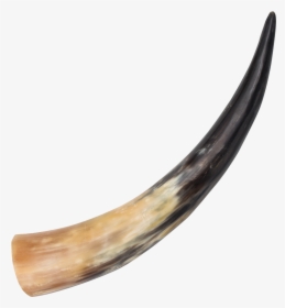 Medieval Animal Drinking Horn , , Panther Trading Company- - Animal Horn, HD Png Download, Free Download