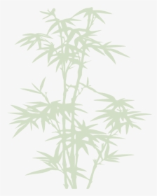 Bamboo, Plant, Leaves, Forest, Nature, Silhouette, - Bamboo, HD Png Download, Free Download