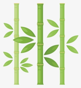 Bamboo - Bamboo Drawing, HD Png Download, Free Download