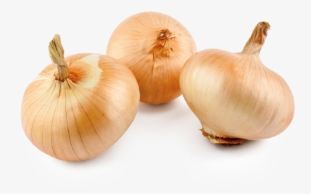 Sweet Onion - Usos De La Cebolla, HD Png Download, Free Download
