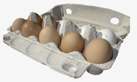Eggs Carton Transparent Background, HD Png Download, Free Download