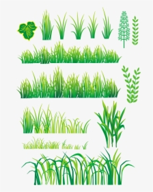 Bamboo And Grass Plant Vector - Vector Grass Cartoon, HD Png Download, Free Download