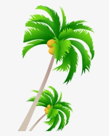 Coconut Tree Download Free Image Clipart - Free Palm Tree Vector, HD Png Download, Free Download