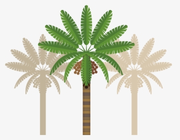 Leaves Clipart Coconut Tree - Clip Art, HD Png Download, Free Download