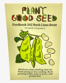 Fordhook 242 Bush Lima Bean - Seed, HD Png Download, Free Download