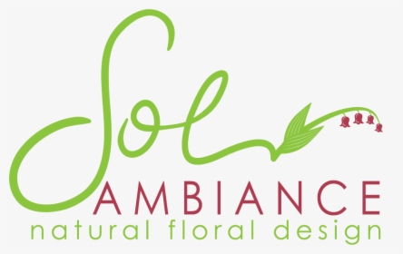 San Francisco, Ca Florist - Sol Ambiance, HD Png Download, Free Download