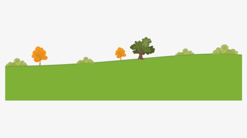 Maple, HD Png Download, Free Download