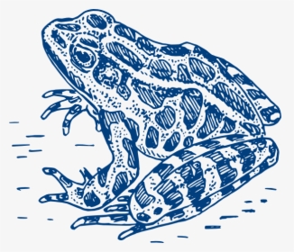 Frog Logo Svg Clip Arts - Frog Black And White, HD Png Download, Free Download