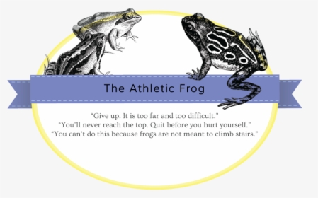 Athletic-frog - Southern Leopard Frog, HD Png Download, Free Download