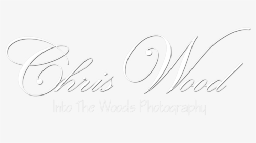 Into The Woods Photography Portfolio - Calligraphy, HD Png Download, Free Download