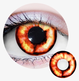 Primal Costume Contact Lenses Yellow, HD Png Download, Free Download