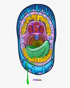 Clip Art, HD Png Download, Free Download