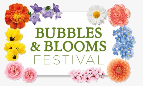 Bubbles And Blooms, HD Png Download, Free Download