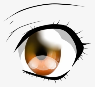 Close-up, HD Png Download, Free Download