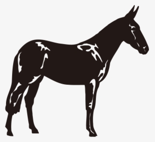 Mare, HD Png Download, Free Download