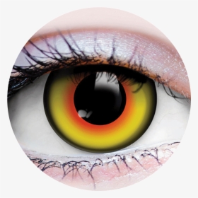 Primal® Mad Hatter"  Class= - Primal Costume Contact Lenses Yellow, HD Png Download, Free Download