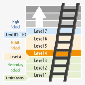 Programming Skill Levels, HD Png Download, Free Download