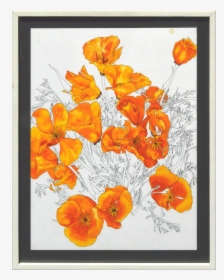 California Poppy Png - Petunia, Transparent Png, Free Download