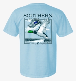 Bufflehead, HD Png Download, Free Download