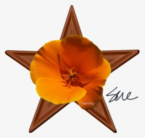 Sue"s Barnstar - Global Warming Climate Change Symbols, HD Png Download, Free Download