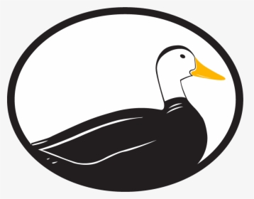 Logo - Duck, HD Png Download, Free Download