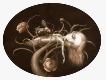 Coccoon Girl Tree Flower Bee Sleeping Beauty Fantasy - Nicoletta Ceccoli Artwork, HD Png Download, Free Download