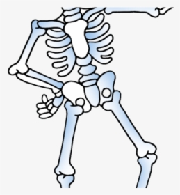 Cute Skeleton Clip Art, HD Png Download, Free Download