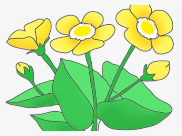 Buttercups Clipart, HD Png Download, Free Download