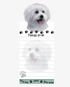 Shih Tzu, HD Png Download, Free Download