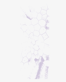 Watercolor Illustration Of A Honeycomb Structure - Cobblestone, HD Png Download, Free Download