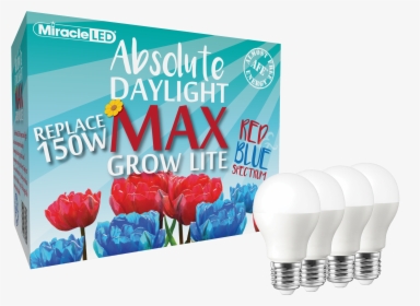 Miracle Led Commercial Hydroponic Max Red & Blue Led - Flyer, HD Png Download, Free Download