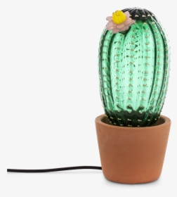 Lampada A Cactus, HD Png Download, Free Download