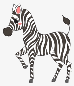 Zebra, HD Png Download, Free Download