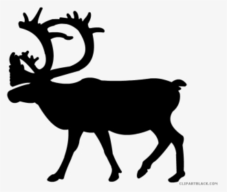 Clip Art Vector And - Deer And Reindeer Size Comparison, HD Png Download, Free Download