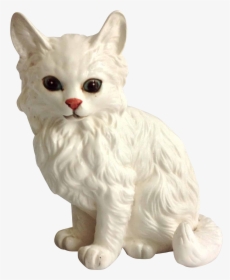 Persian Cat, HD Png Download, Free Download