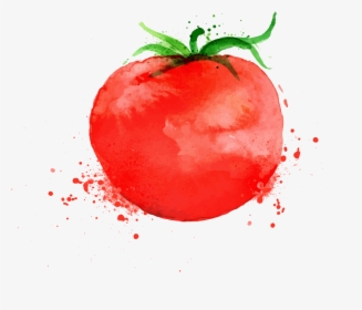 Pizza Parmigiana Tomato Soup - Tomato Watercolor Png, Transparent Png, Free Download