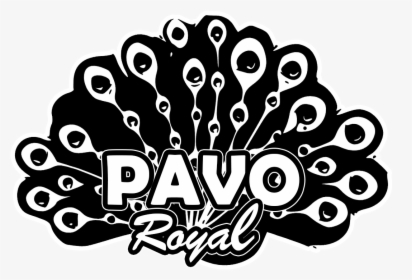 Pavo-royal - Illustration, HD Png Download, Free Download
