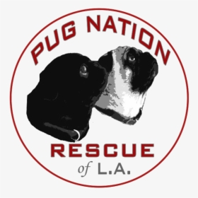 Pug Nation Of La Logo 2016 - Pug Nation, HD Png Download, Free Download