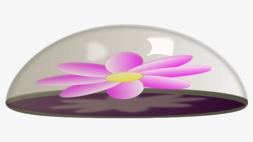 Paper Flower In Glass - Circle, HD Png Download, Free Download