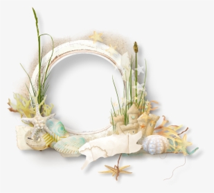 Seaside Clipart Beach Frame - Seashell Frame Transparent Background, HD Png Download, Free Download