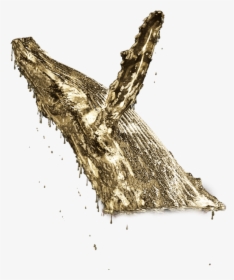 Sketch, HD Png Download, Free Download