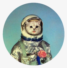 Cat Astronaut, HD Png Download, Free Download