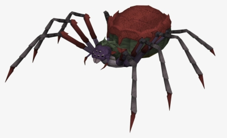 Spiderqueen - Runescape Giant Spider, HD Png Download, Free Download