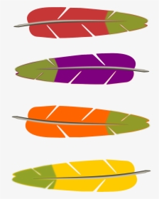 Feathers Bird Colorful Free Photo - Transparent Turkey Feathers Clipart, HD Png Download, Free Download